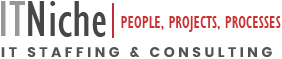 IT Niche Consulting